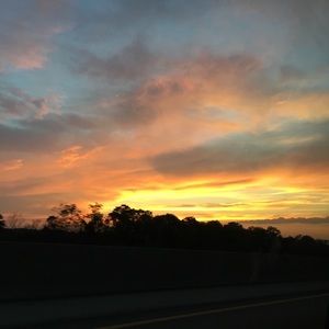 Meet your Posher, Bailey